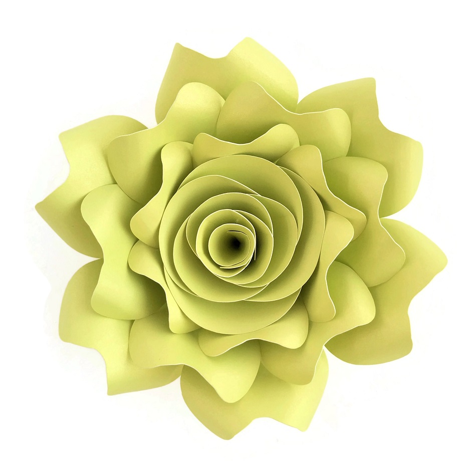 2018 DIY Paper Flowers 15CM Pa - Baby Nursery Videos ulasan dan harga